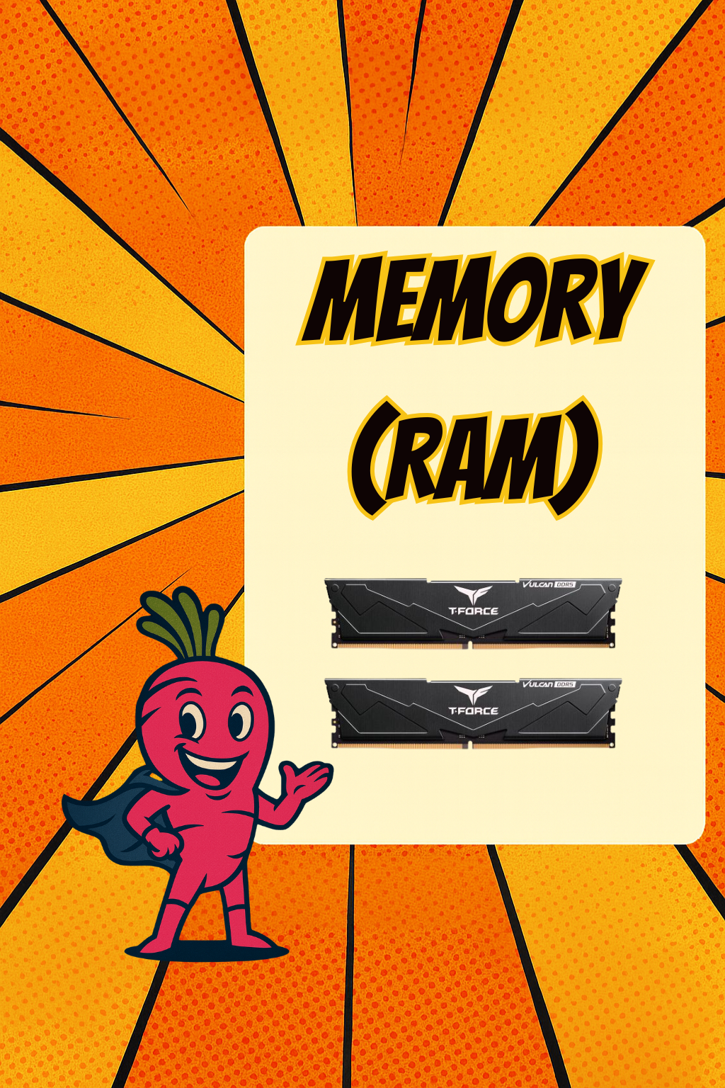 Memory - Pink Parsnip Computers