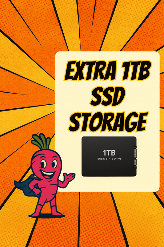 1 TB SATA SSD (2.5”)