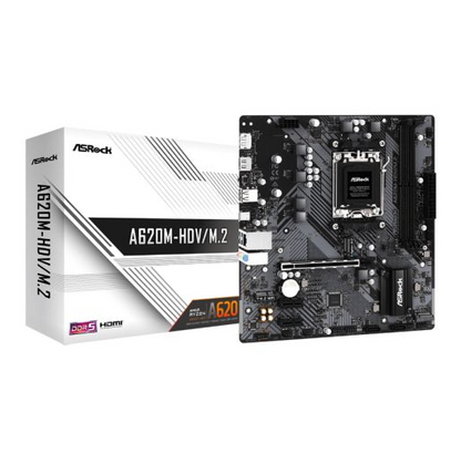 Focus G - Ryzen 5 7600 - RX6600 - 1TB NVme - 32GB DDR5