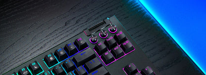 RAZER BLACKWIDOW V4 TENKEYLESS KEYBOARD