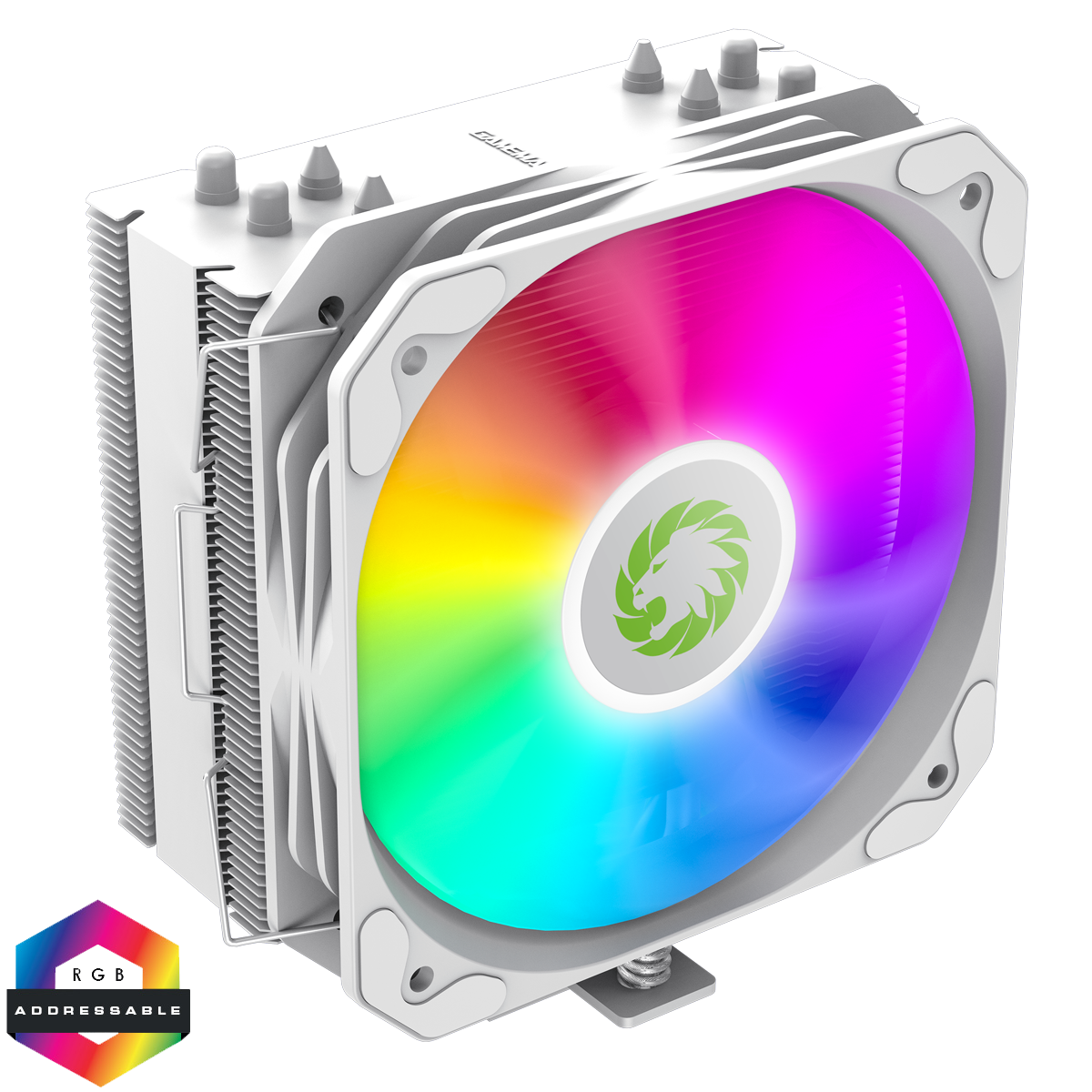 The Parsnip Puncher Gaming PC | Ryzen 5 5500 | GTX 1660 Super | 16GB RAM | 520GB SSD | Black or White Budget 1080p Gaming PC